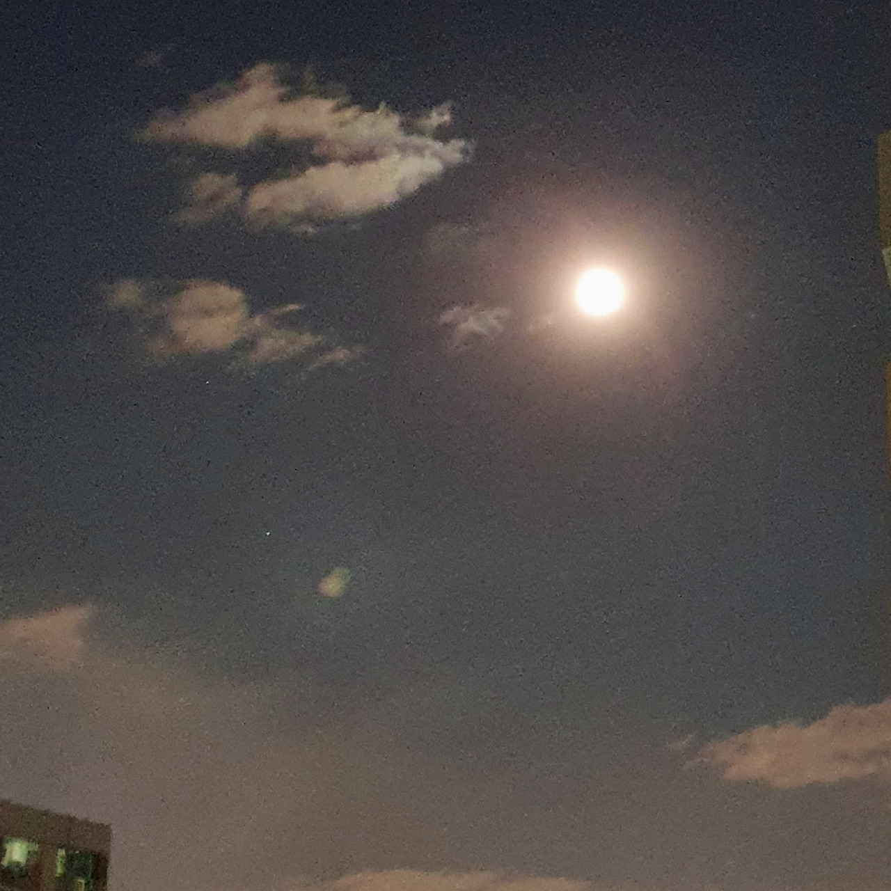 은아. 나는 요즘 글쓰는 게두렵다.