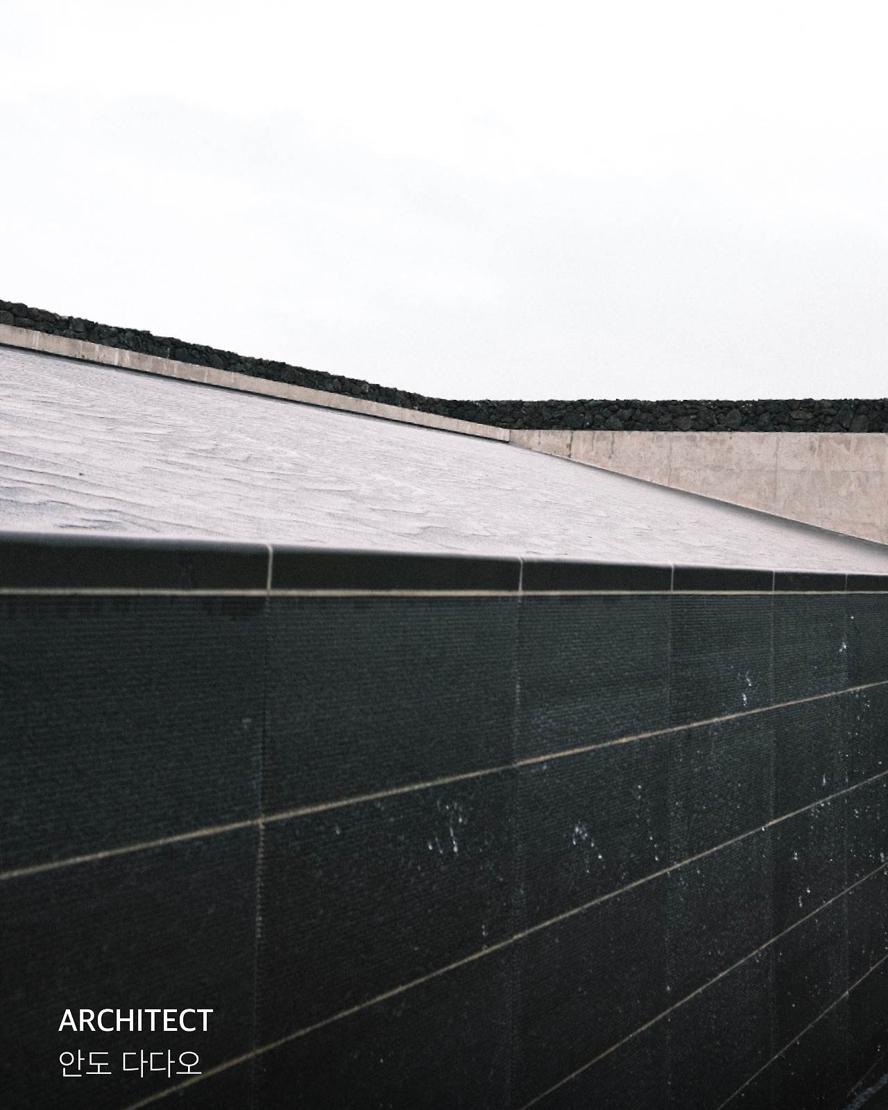 대지 28@3x-100.jpg