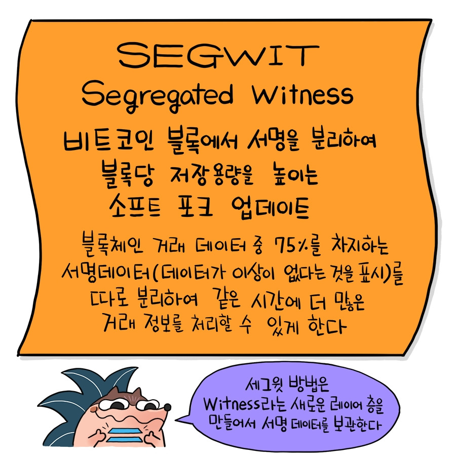91_segwit02.jpg