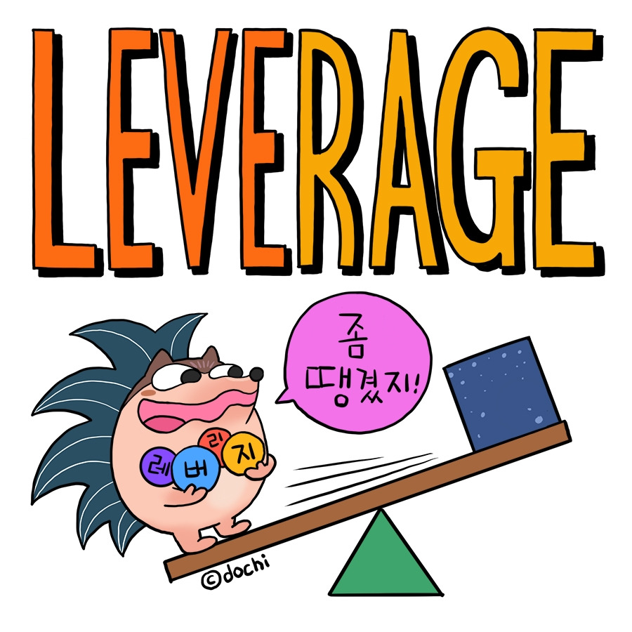 73_leverage01.jpg