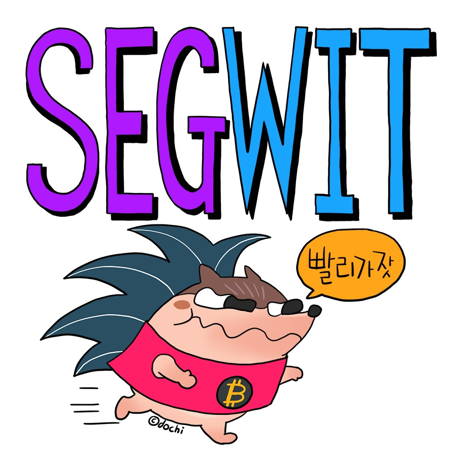91_segwit01.jpg