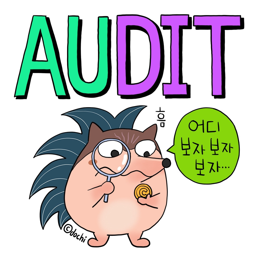 49_audit01.jpg