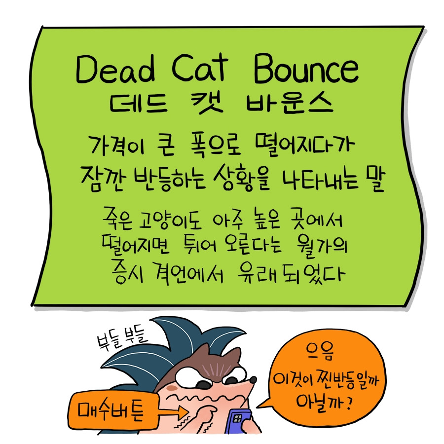81_deadcatbounce02.jpg