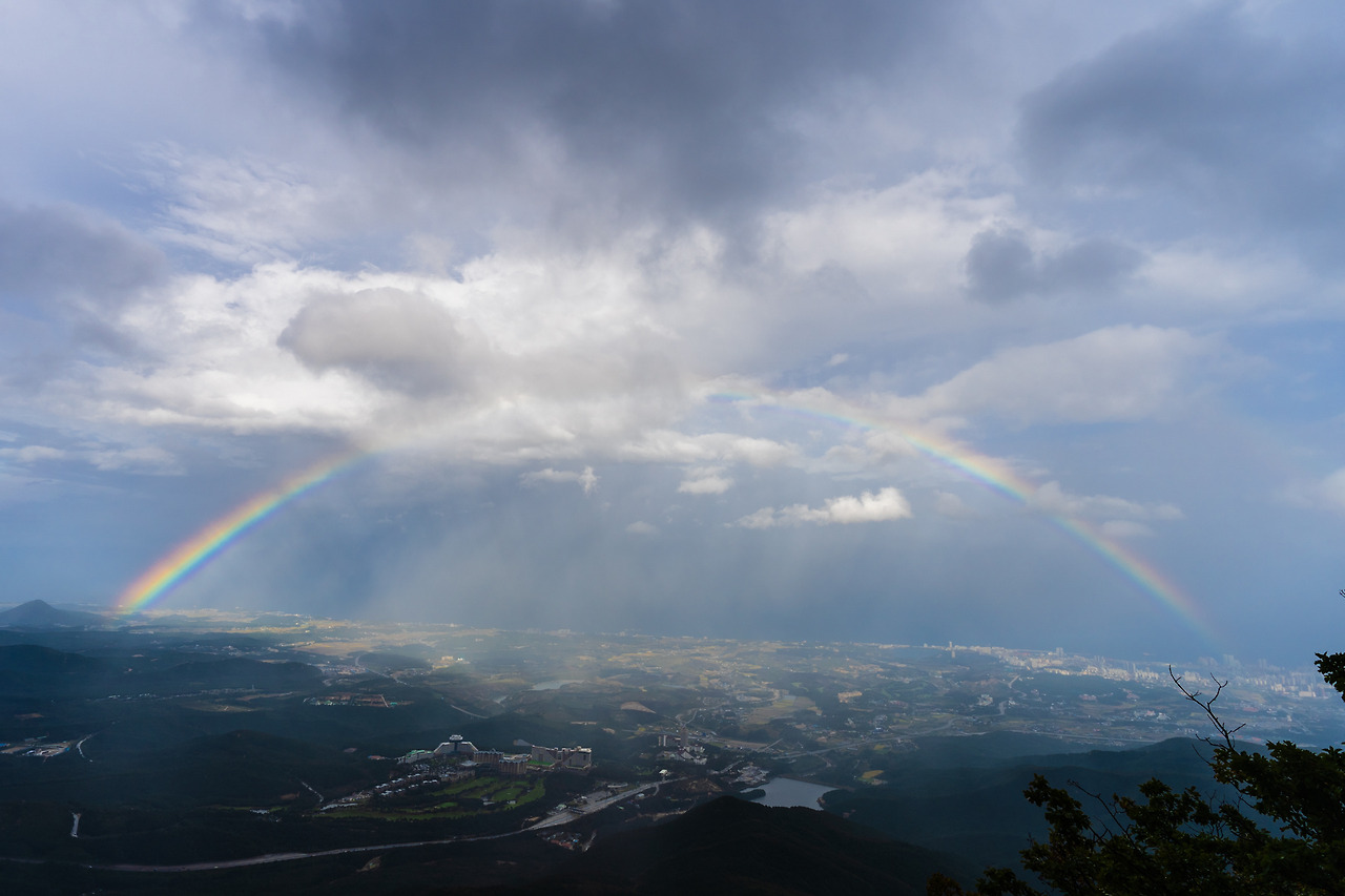 스프 노대영 240128 사진 1.jpg
