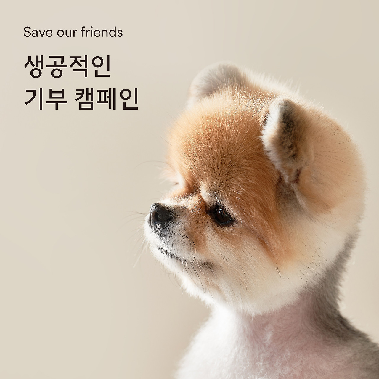 220614_생공적인 반려생활-01.jpg