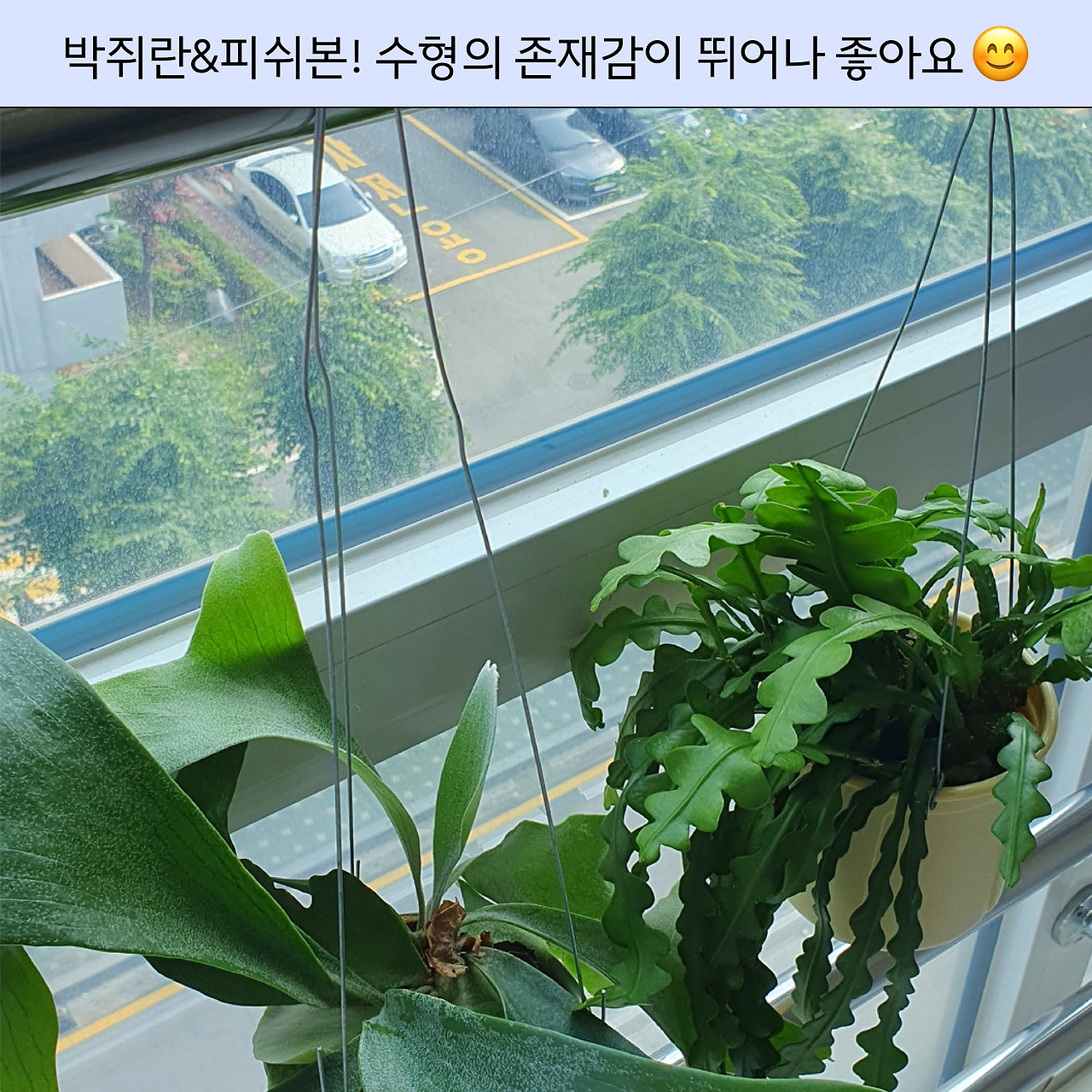 220710_경원주임님 집들이_７.jpg
