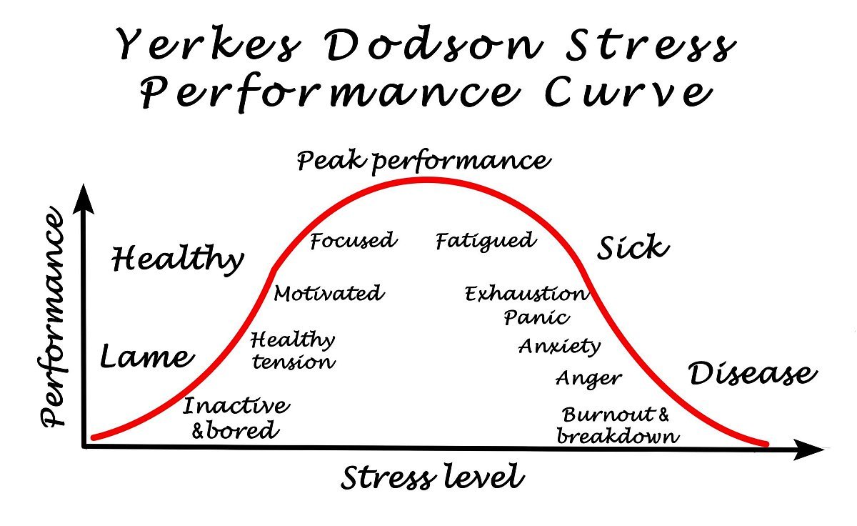 여키스 도슨.jpg
