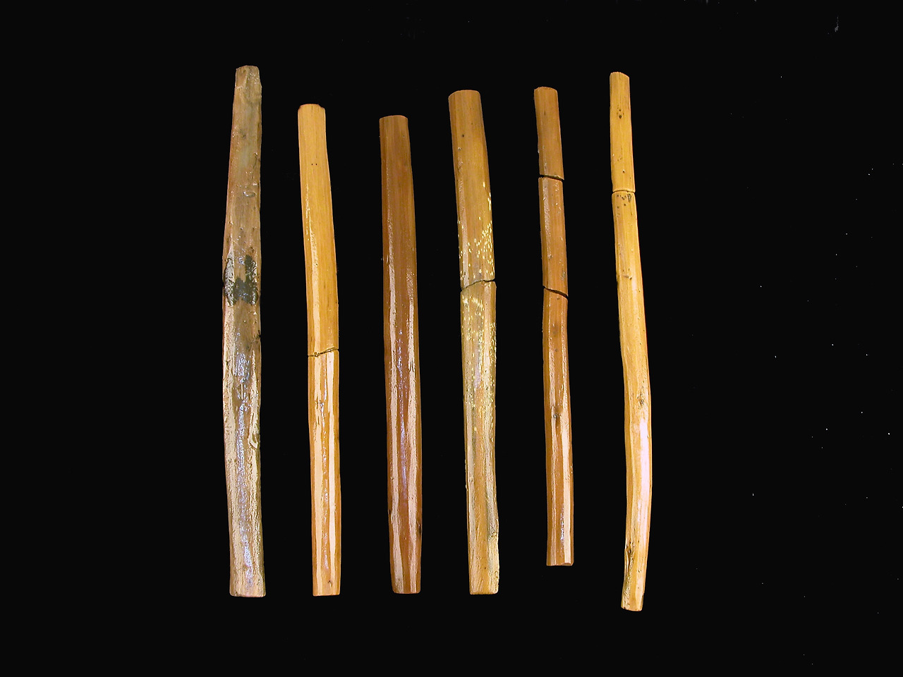 10-3 화장실 유적에서 출토된 뒤처리용 나무막대(측주). 국립문화재연구소 제공.jpg