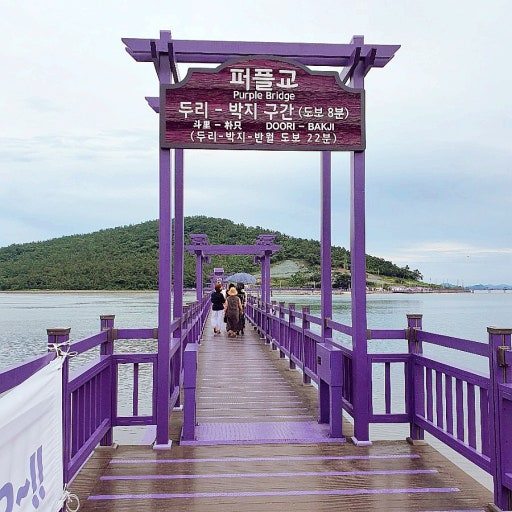 반월도·박지도의 퍼플교.jpg