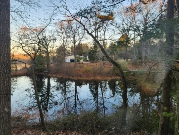 사용자 지정 1.jpg