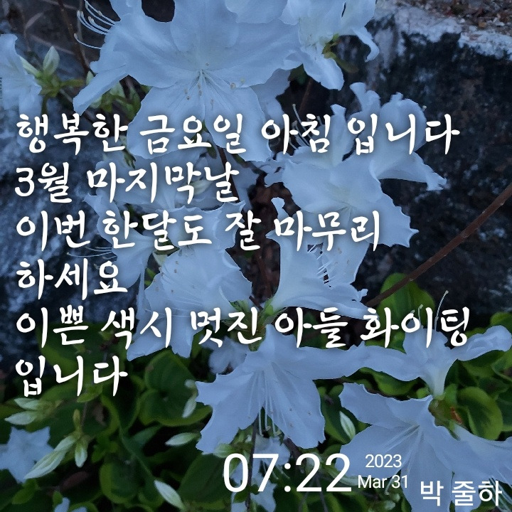 KakaoTalk_20230331_072344135.jpg