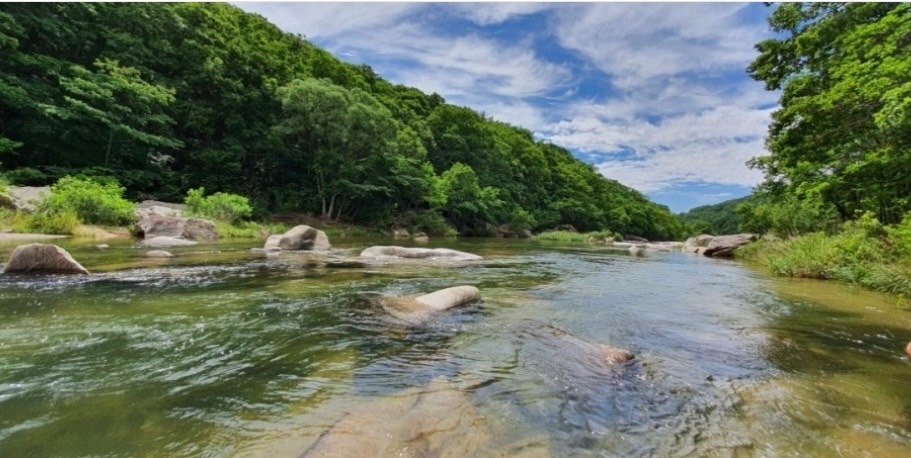 댓글6_18번 임휘성_1.jpg