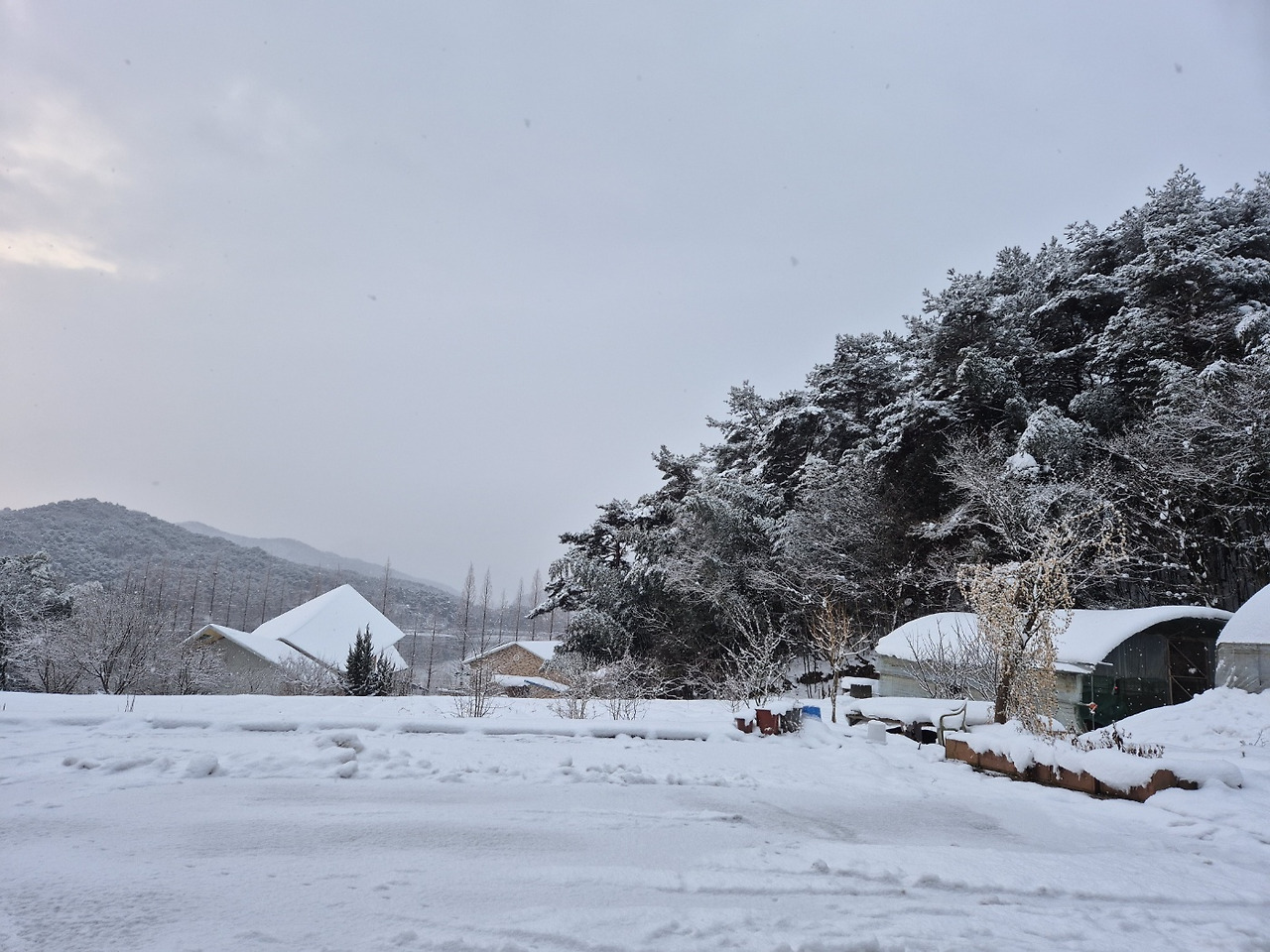 눈리리는 집.jpg