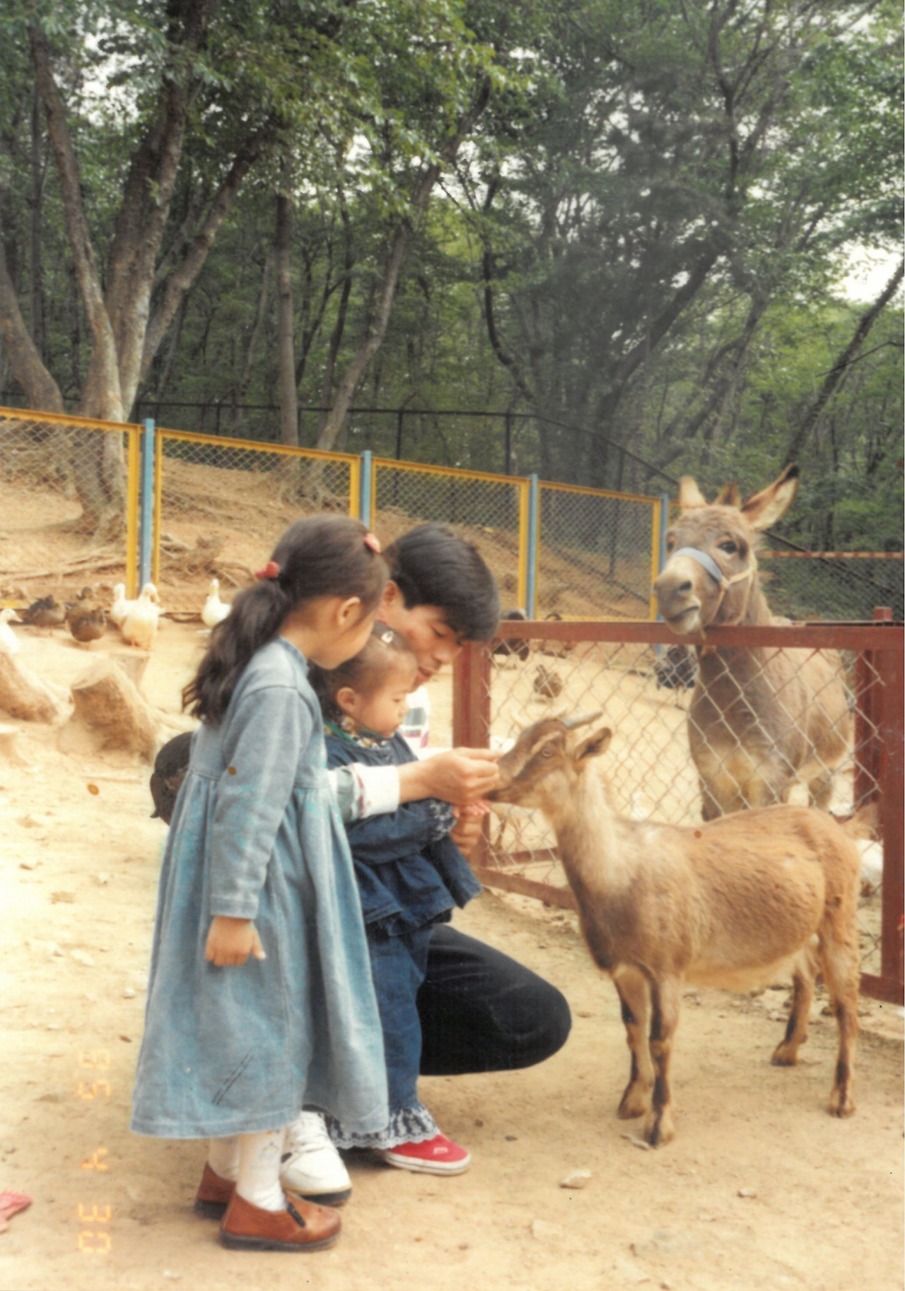 2 동물 만나기.jpg