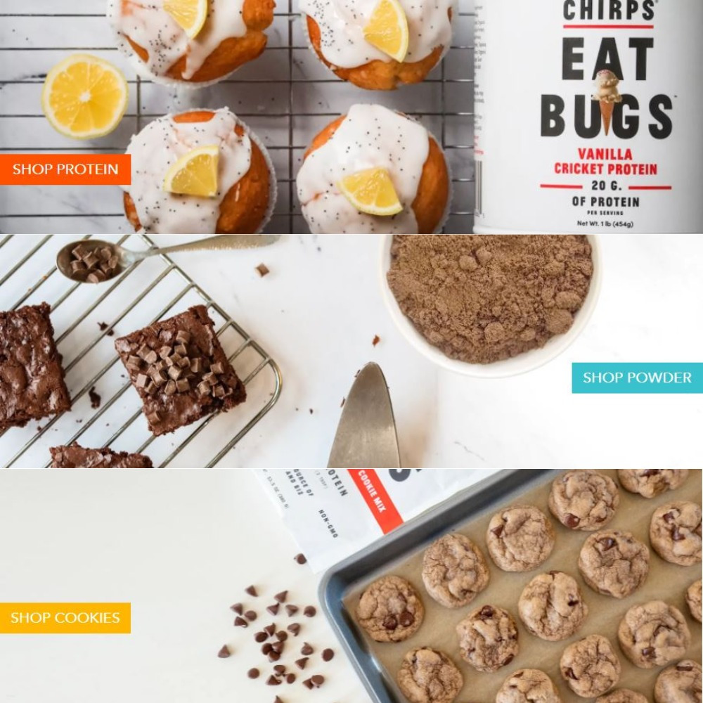 첩스칩스 제품군.jpg