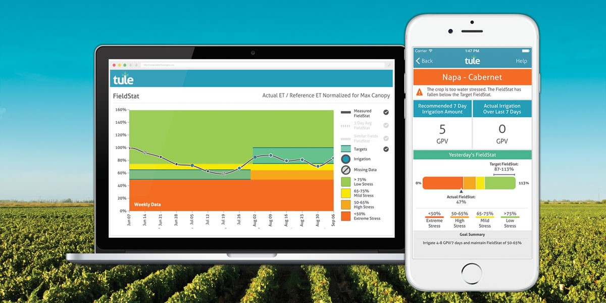 툴레 서비스.jpg