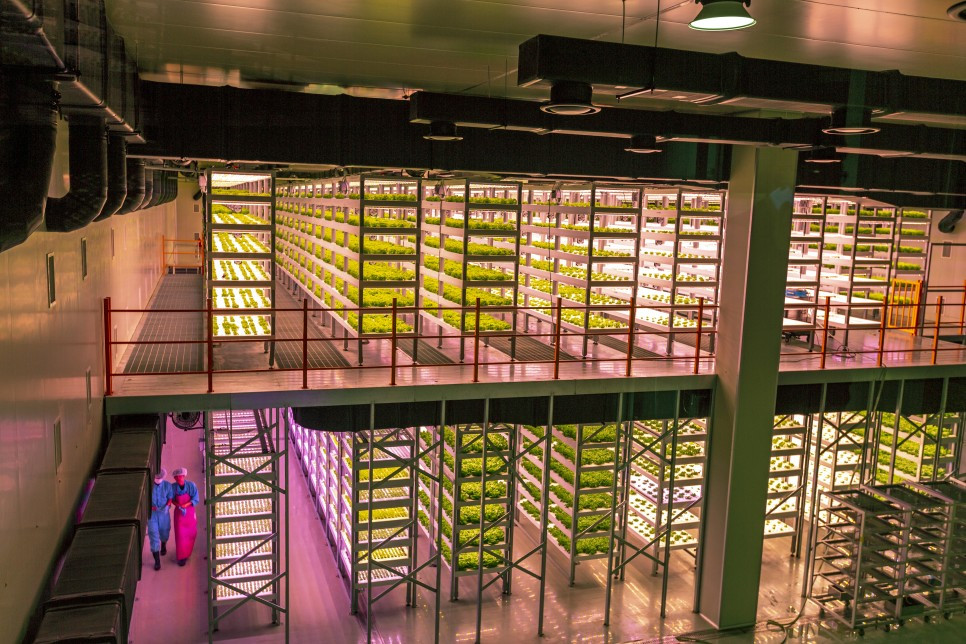 팜에이트 식물공장 전경2.jpg