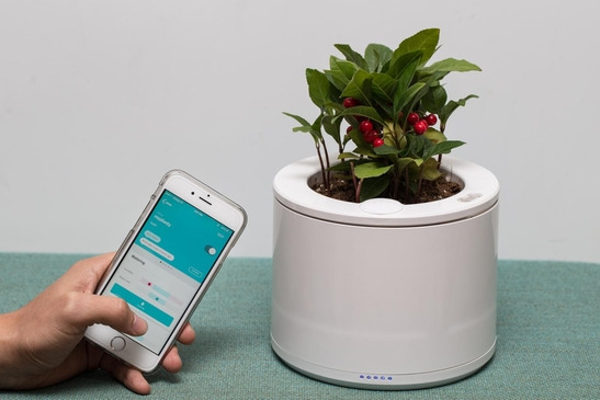 엔씽 스마트화분.jpg
