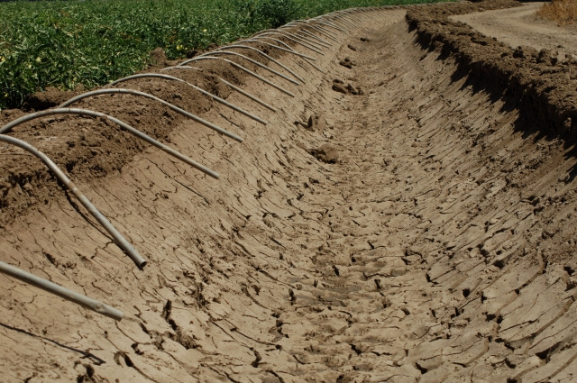 툴레 캘리포니아 가뭄.jpg
