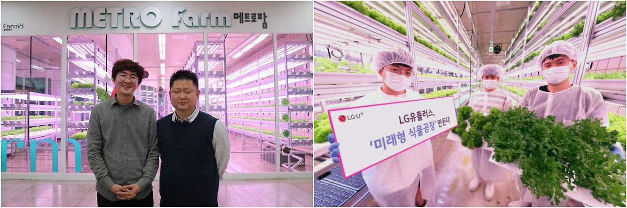 팜에이트 지하철.jpg