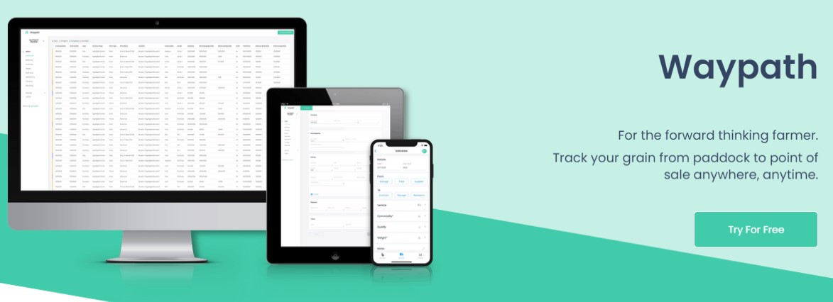 애그리 웨이패스.jpg