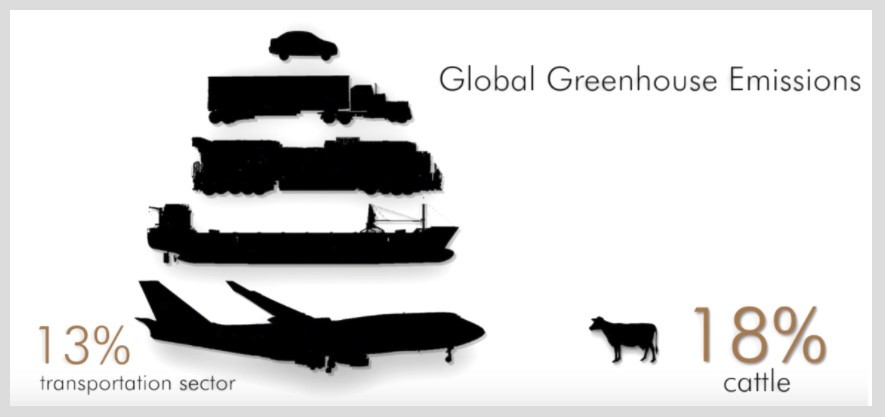 첩스칩스 통계.jpg