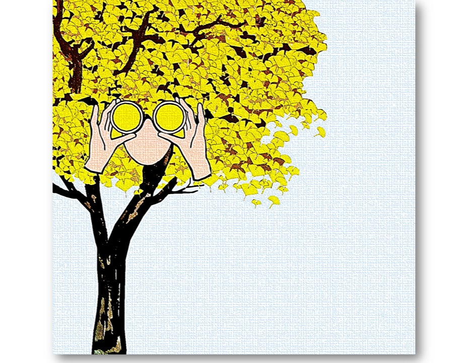 은행나무의 눈.jpg