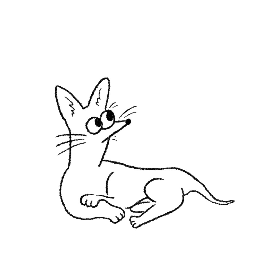우리집 강아지
