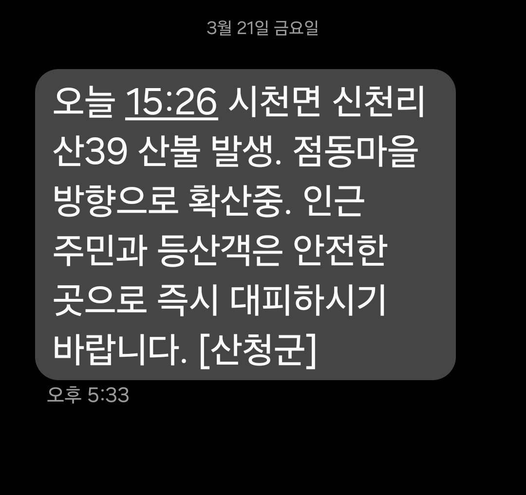 온라인 카지노 게임
