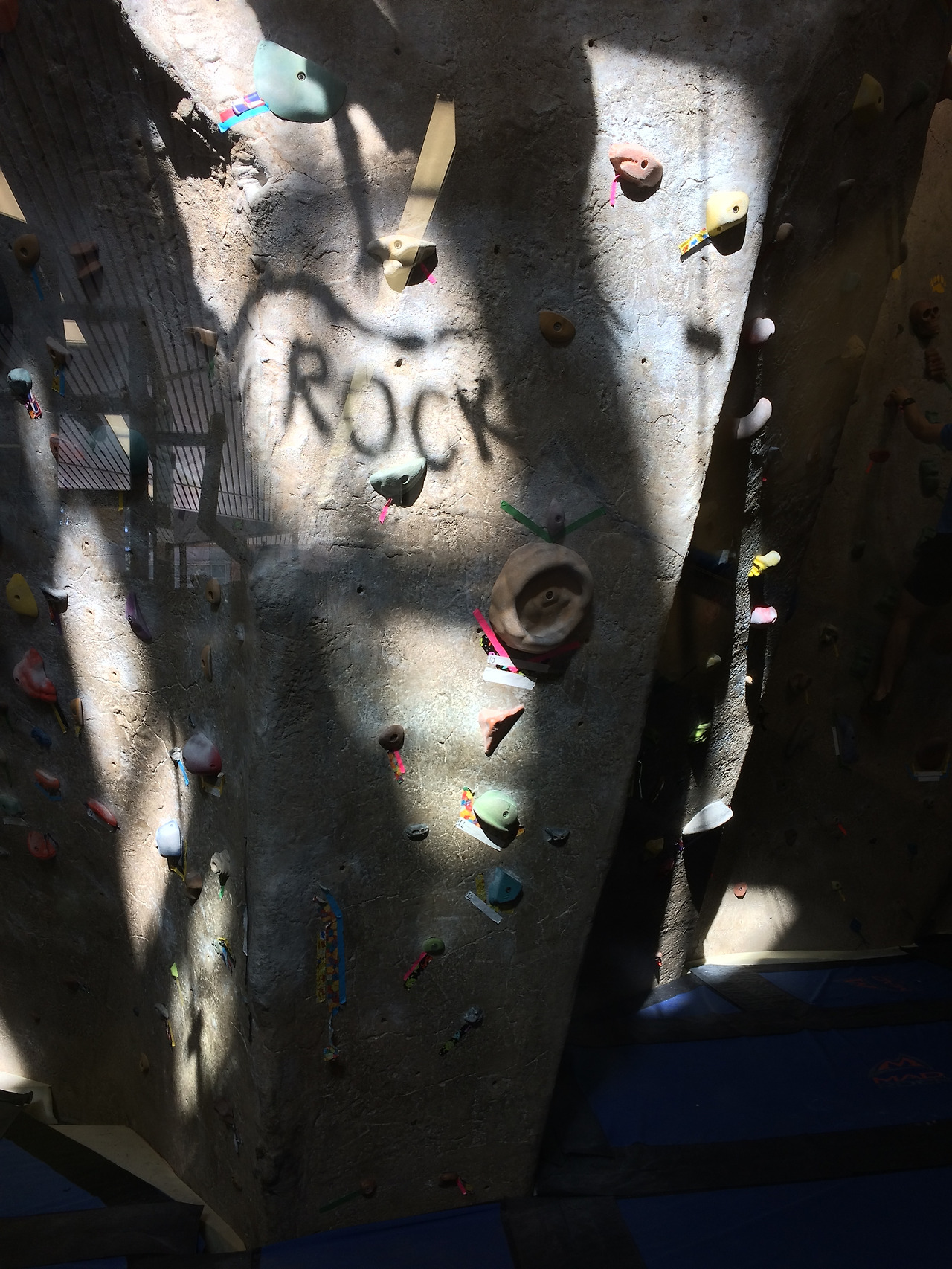 2017-01-30 12.57.20 HDR.jpg