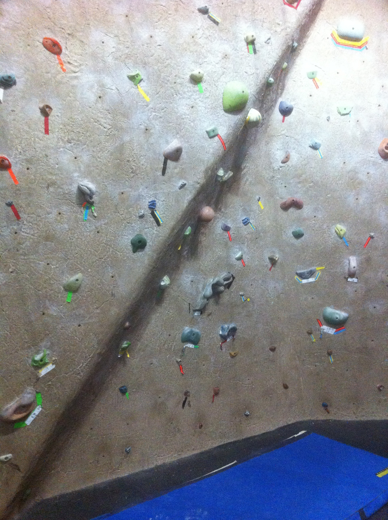 2016-05-18 17.34.16.jpg