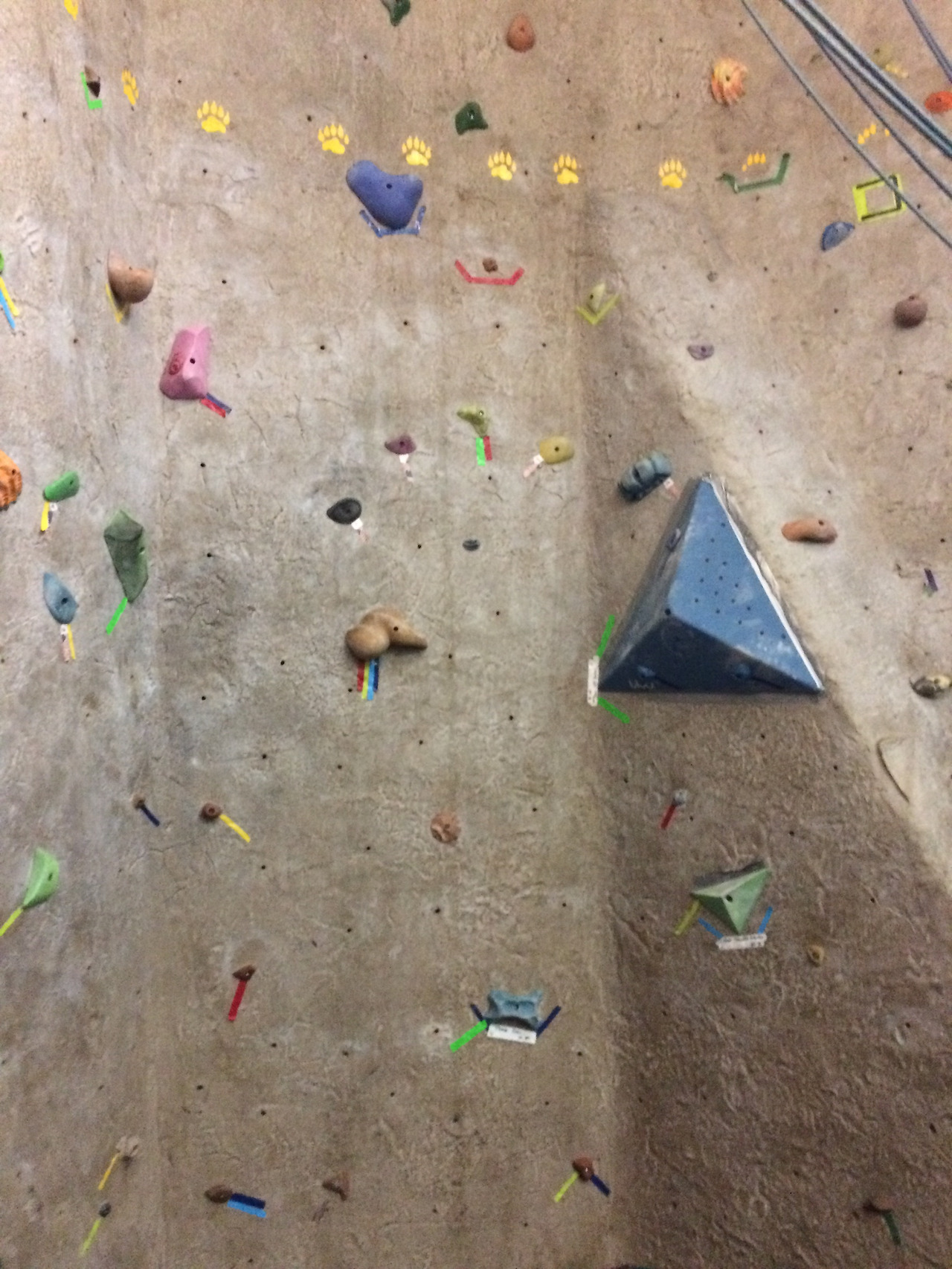 2017-08-09 18.31.21.jpg