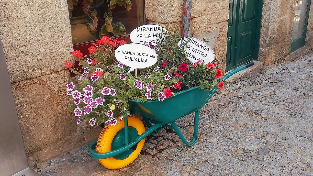 miranda de douro.jpg