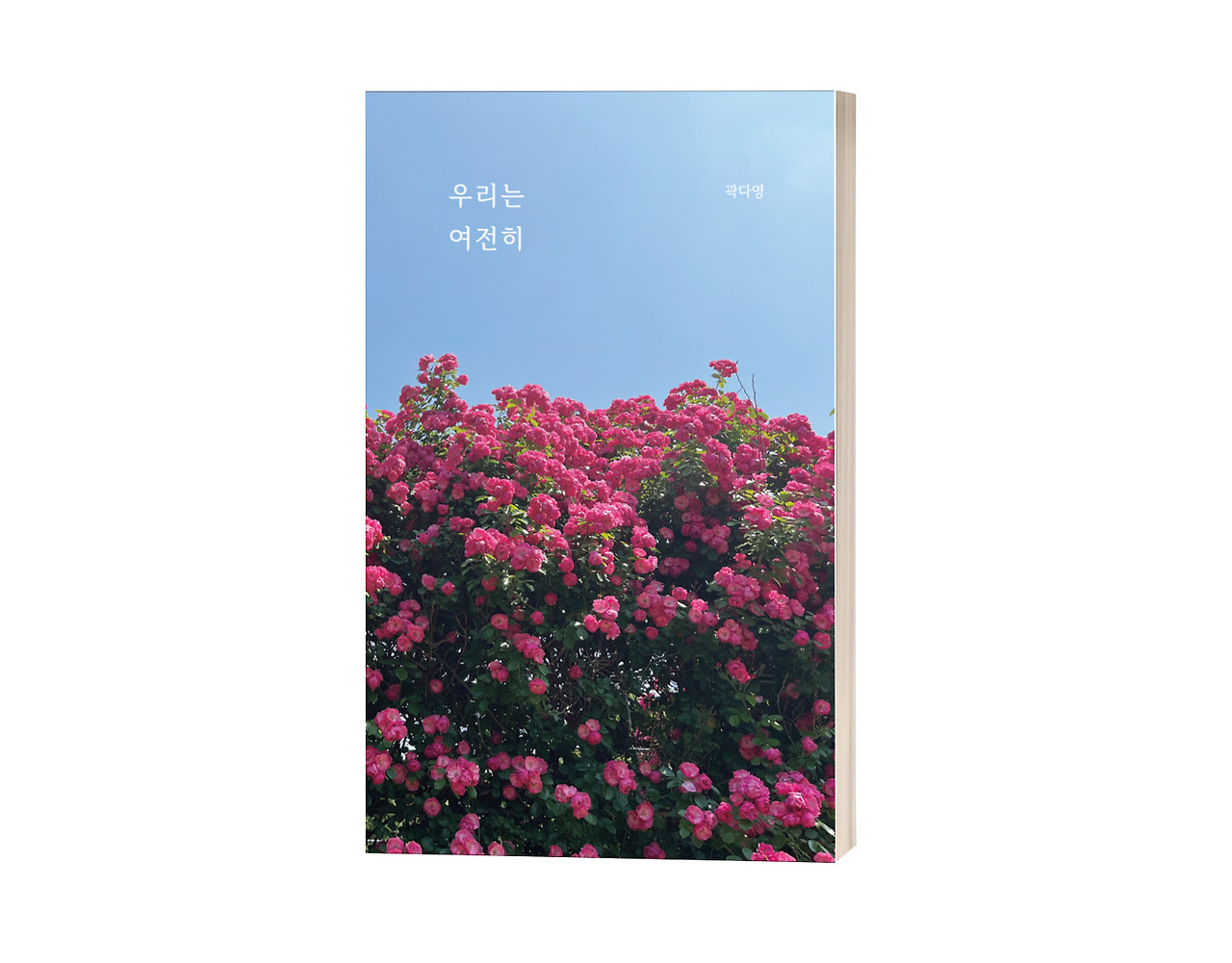 우리는 여전히 목업.jpg