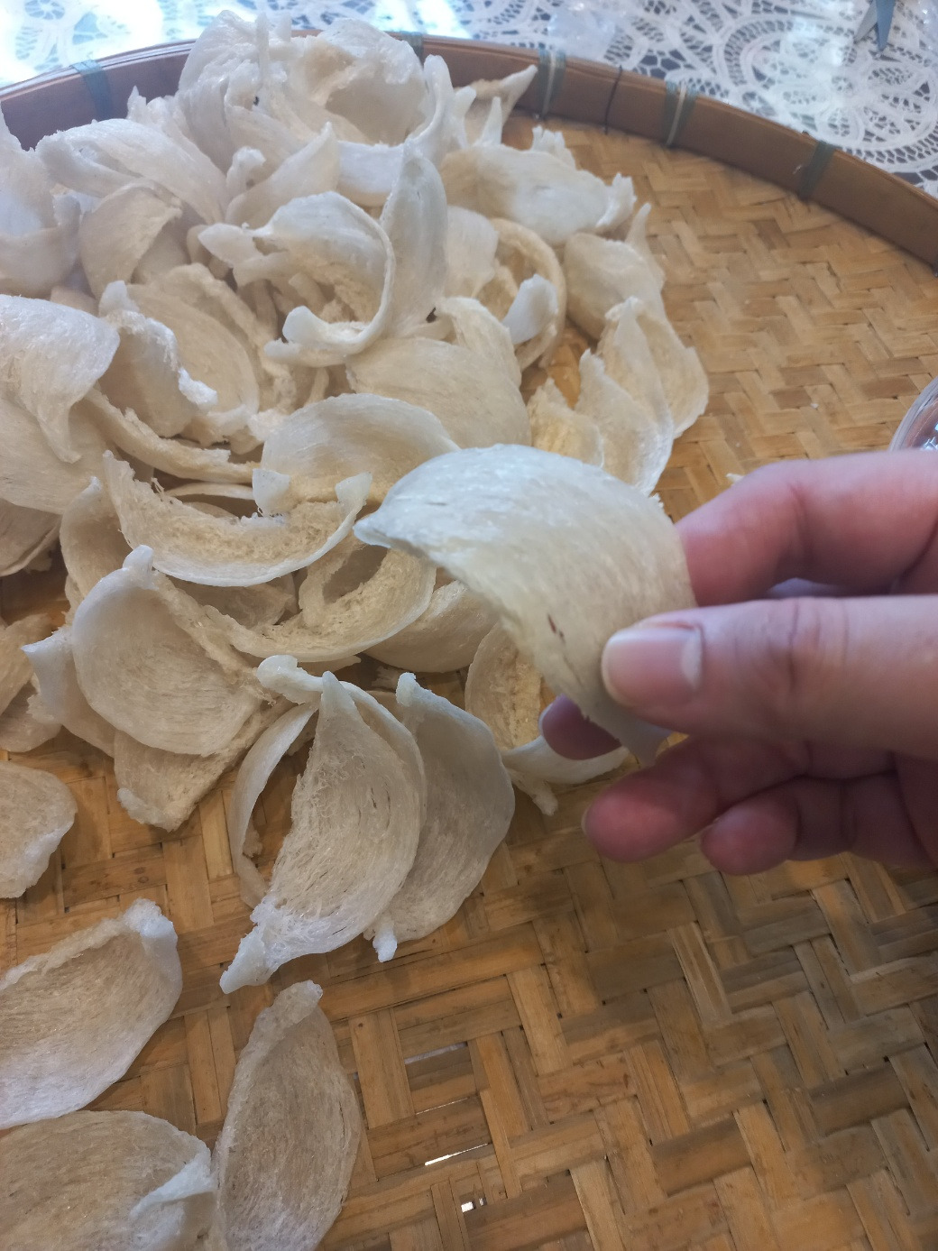 건어물 제비집.jpg