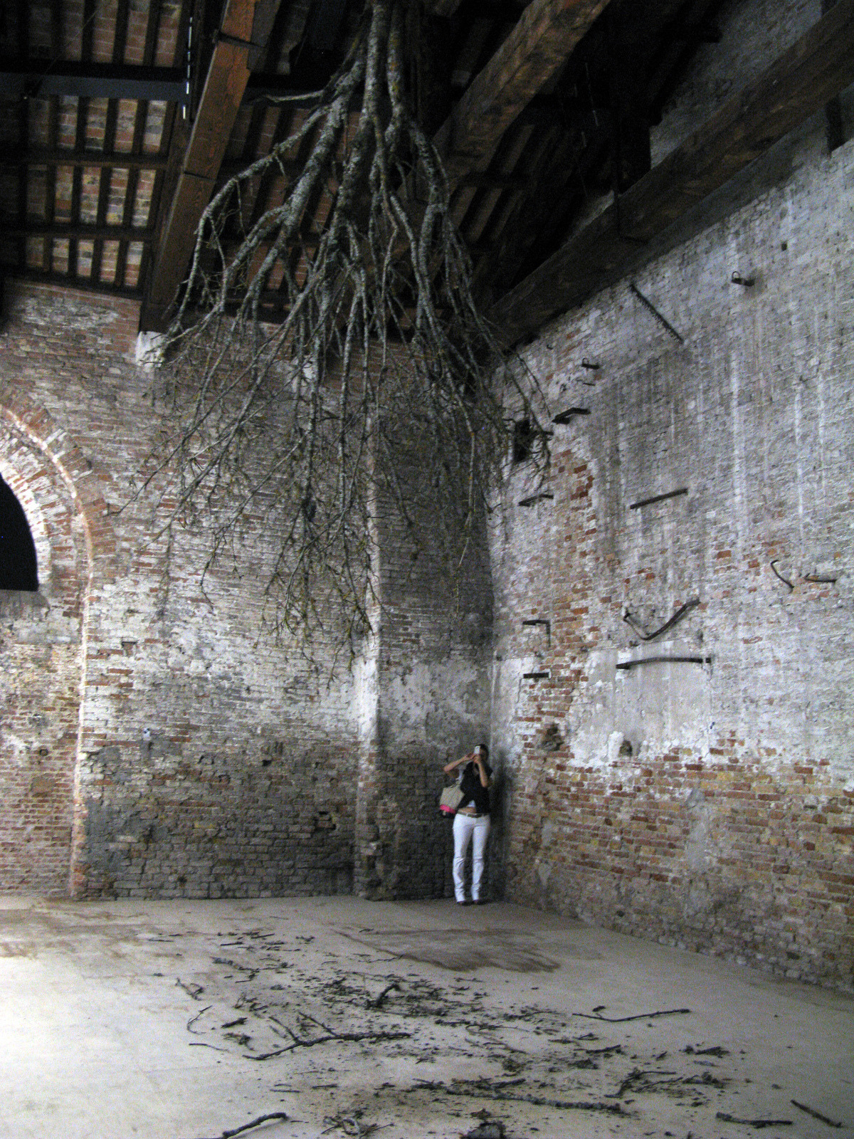 2013-10-30 12.39.52.jpg