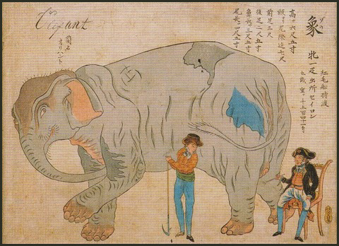elephant misemono.jpg