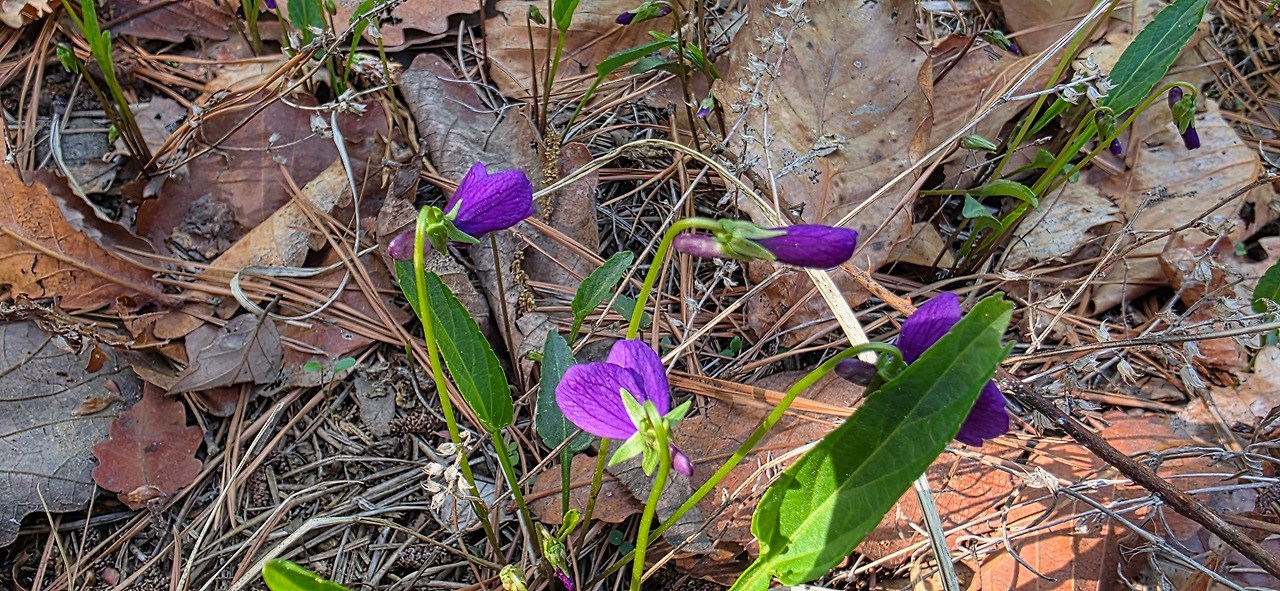 KakaoTalk_20250508_204320102_03 (1).jpg