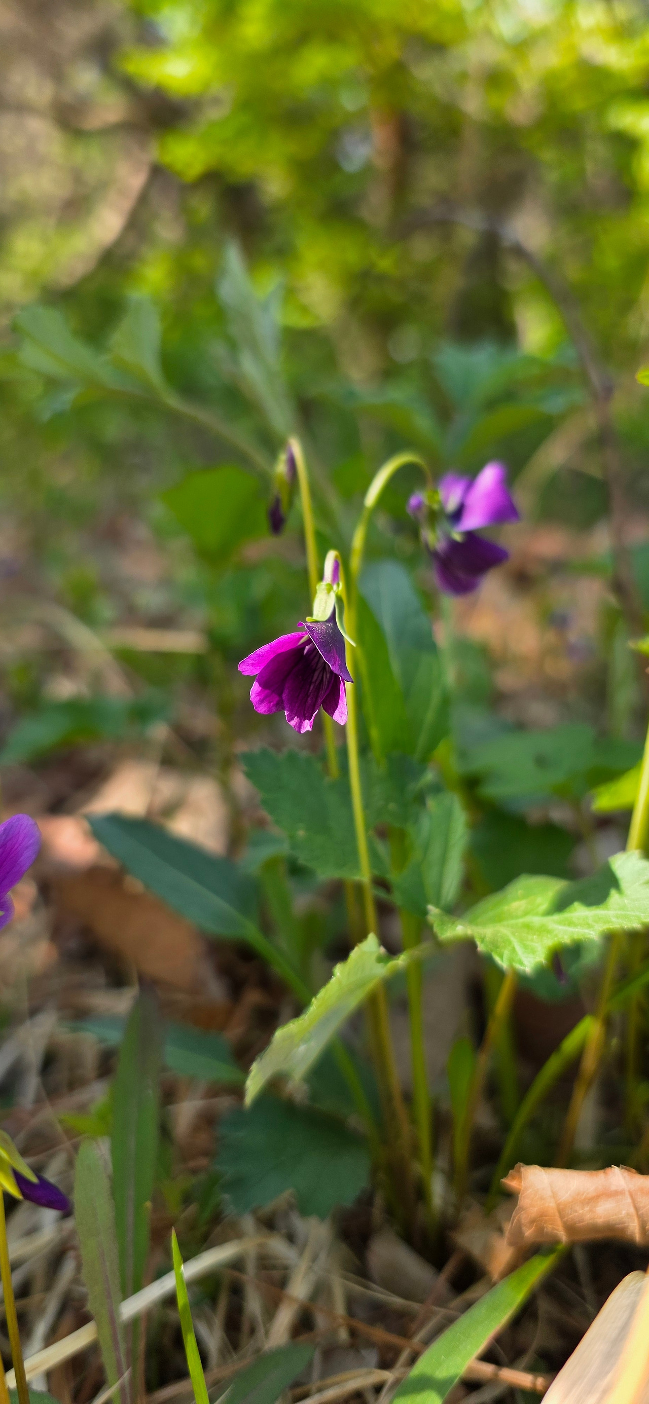 KakaoTalk_20250508_204320102_01 (1).jpg