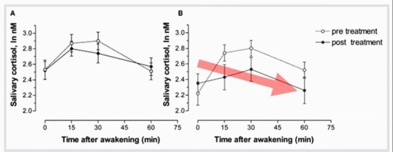 코르티솔 그래프.jpg