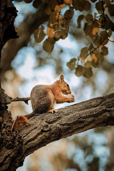 bandicam 2019-11-12 10-37-53-138.jpg