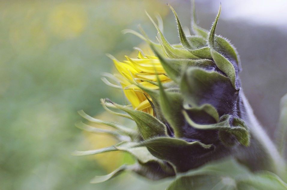 bandicam 2019-11-18 03-01-50-070.jpg