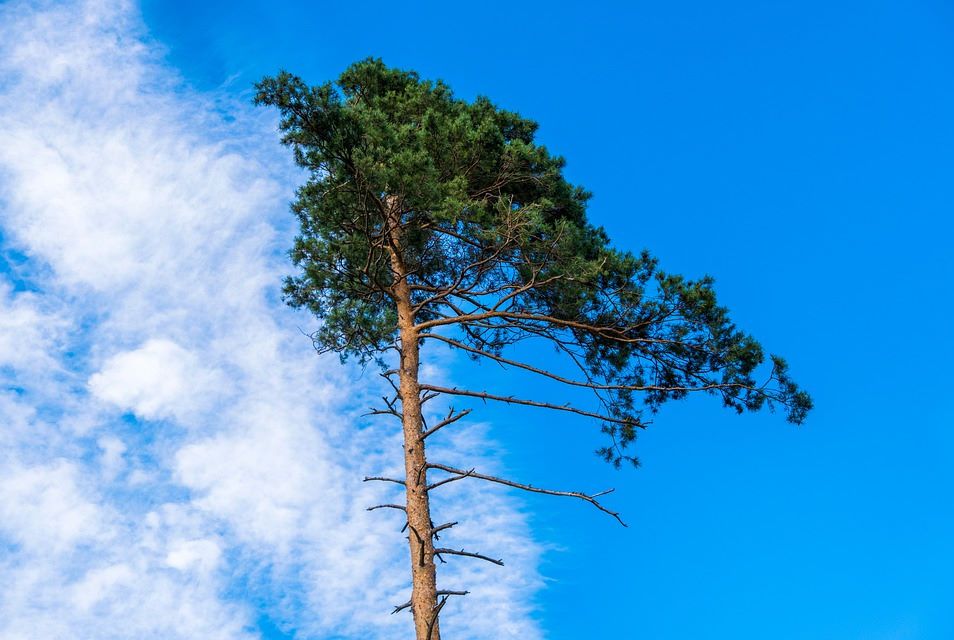 bandicam 2019-10-14 04-46-57-248.jpg