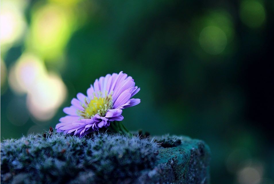 bandicam 2019-10-14 04-33-37-361.jpg