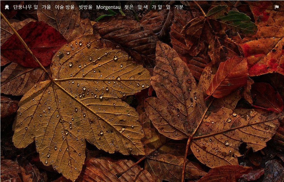 bandicam 2019-11-06 10-51-15-162.jpg