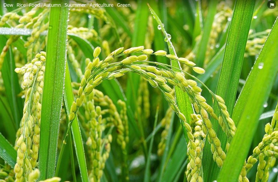 bandicam 2019-11-12 10-39-01-725.jpg