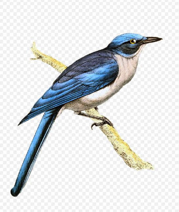 bandicam 2019-10-15 00-48-51-411.jpg