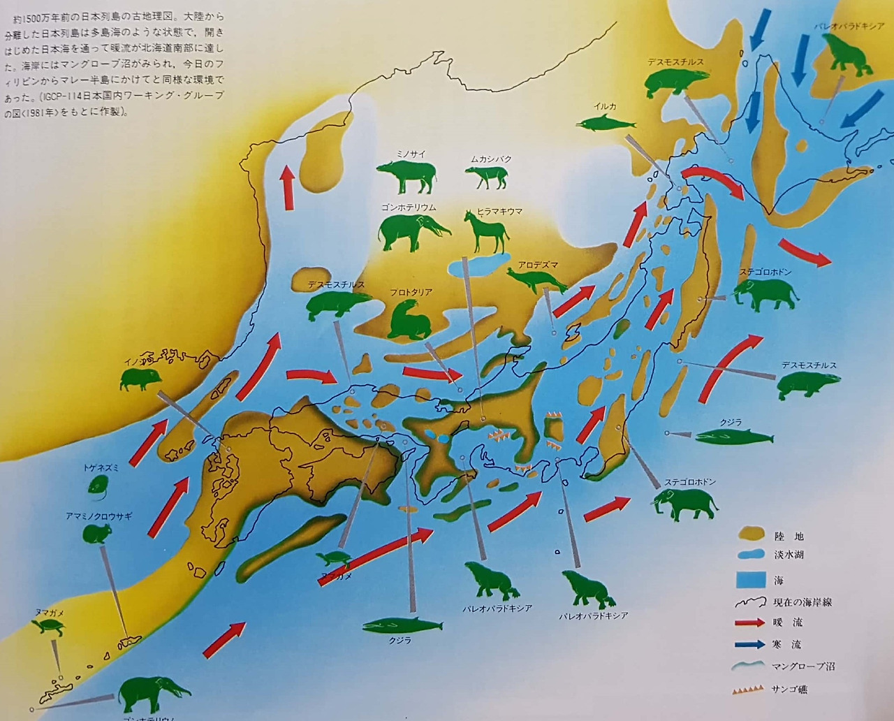 1500만년전 열대시대 일본2.jpg