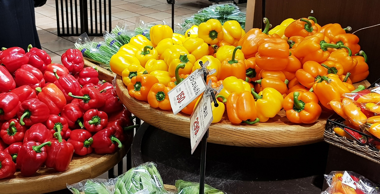 공모전_제7회 파프리카 사진콘테스트_1.jpg