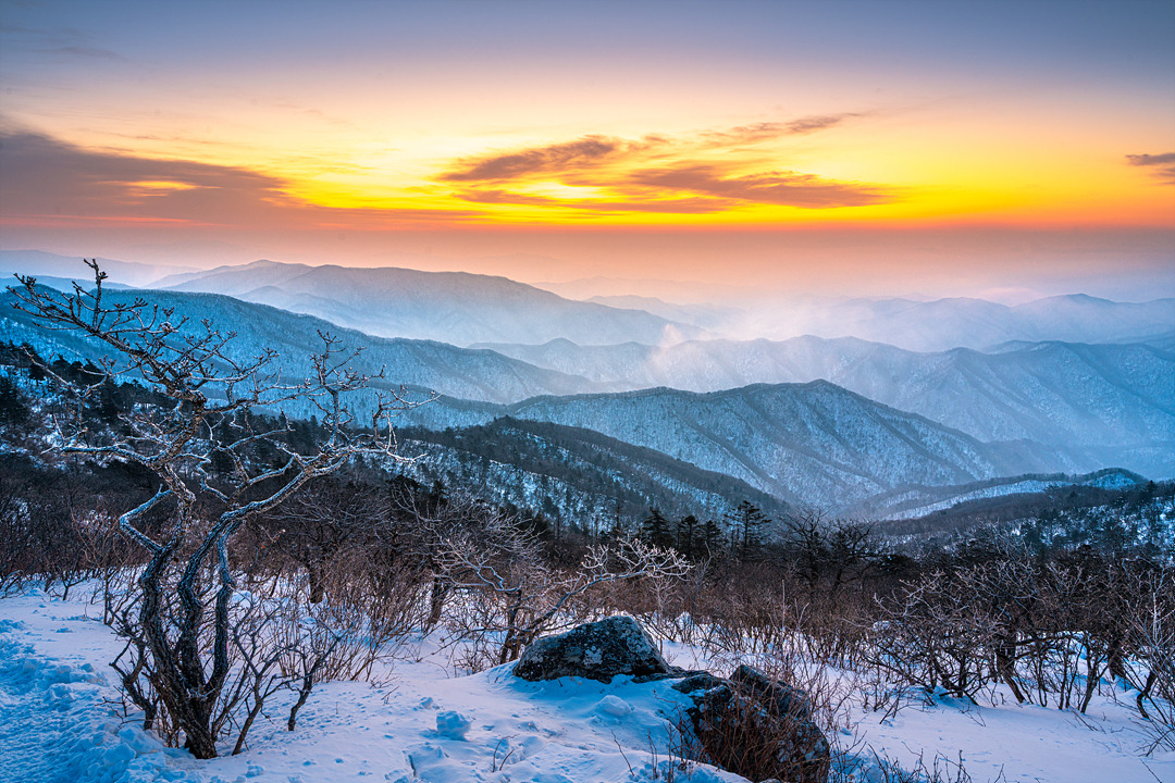 1. 계방산 정상에서 맞이한 황금빛 일출.jpg